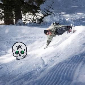 Meet your Posher, Shane